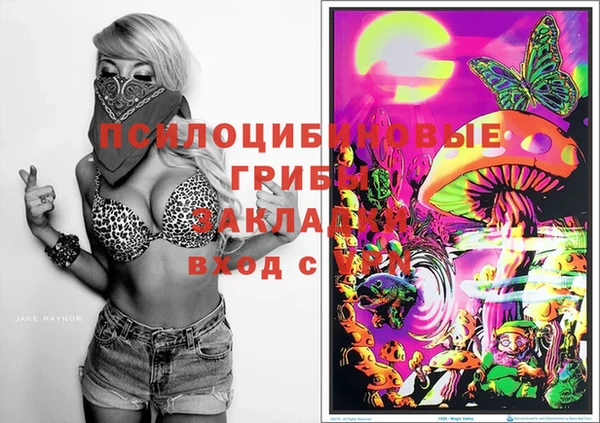 прущие крисы Алексеевка